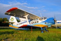 Фестиваль авиации и воздушных шаров в Киеве