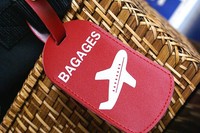 Правила провоза багажа авиакомпании Россия